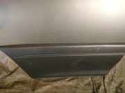 Zierleiste Tür Zier-Schutzleiste - Hinten Rechts Lexus RX, 2000.07 - 2003.05 Gebraucht,