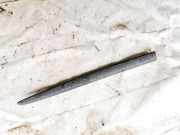 Zierleiste Tür Zier-Schutzleiste - Vorne Rechts Fiat Stilo, 2001.10 - 2007.01 7353145300, 2383