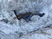 Radhausschale - Hinten Rechts Opel Zafira, A 1999.04 - 2003.11 90580536,