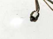 Einspritzleitung Nissan Qashqai, I 2006.01 - 2010.06 Gebraucht,