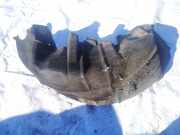 Radhausschale - Hinten Linke Lexus IS, II 2005.10 - 2013.03 Gebraucht,