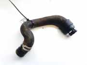 Kühlerschlauch Opel Vectra, B 2000.09 - 2002.04 facelift 069591, 0-69591