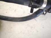 K?hlerschlauch Daewoo Lanos, I 1997.05 - 2006.12 96494981,