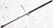 Gasdruckfeder Kofferraum Volkswagen Passat, B5 1996.08 - 2000.11 Gebraucht , Afn
