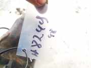 Kraftstofffilter Subaru Legacy, BM, BR 2009.09 - 2014.06 Gebraucht,