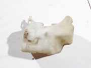 Scheibenwaschbehälter Vorne Wischwasserbehälter Opel Astra, F 1991.09 - 1998.09 0023935,