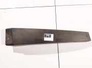 Schutzleiste Tür - Vorne Linke Renault Scenic, II 2003.06 - 2006.06 8200139600,