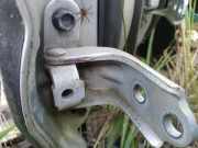 Türscharnier Vorne Hyundai Tucson, I 2004.08 - 2009.06 Gebraucht,