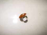 Blinkleuchte Kotflügel - Vorne Rechts Ford Transit Connect 2002.06 - 2008.12 4t1613k376aa,