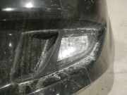 Kühlergrill - Vorne Linke Fiat Bravo, 2006.11 - 2014 Gebraucht,