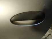 T?rgriff T?raussengriff - Hinten Linke Renault Espace, III 1996.11 - 2002.10 Gebraucht,