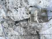 Scheibenwaschbehälter Vorne Wischwasserbehälter Peugeot 4007 2007 - 2012 P7139P6797,P7140P7141