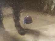 Waschwasserdüse Scheibenreinigung Fiat Stilo, 2001.10 - 2007.01 Gebraucht,