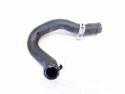 K?hlerschlauch Mercedes-Benz W220, 1998.10 - 2005.08 a2208320694,