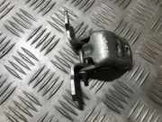 Türscharnier Vorne Renault Laguna, II 2001.03 - 2006.05 Gebraucht,