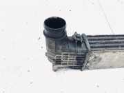 Ladeluftk?hler Seat Alhambra, 1996.08 - 2000.05 132002748a,0823856