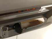 T?rverkleidung - Vorne Linke Chrysler Sebring, III 2007.05 - 2010.12 1003401000,1003401 000 53825C 1003401 A 001 1003401A001