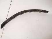 Zier-Schutzleistensatz für Stoßfänger - Vorne Rechts Ford Focus, 1998.10 - 2002.10 1s7117c772ac, 1s71-17c772-ac