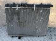 Wasserk?hler Peugeot 206, 2002.07 - 2009.01 facelift 9645157280,