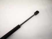 Gasdruckfeder Kofferraum Chrysler 300C, I 2005.01 - 2010.06 205ge004,