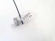 Innenbeleuchtung - Hinten Ford Focus, 2004.11 - 2008.06 c95ya,