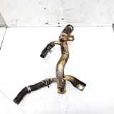 Kühlmittelrohrleitung Ford Focus, 1998.10 - 2002.10 Gebraucht,