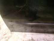 Zierleiste Tür Zier-Schutzleiste - Vorne Linke SAAB 9-3, 2002.09 - 2008.06 Gebraucht,