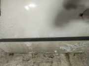 Zierleiste Tür Zier-Schutzleiste - Vorne Linke Skoda Praktik, I 2006.01 - 2010.06 Gebraucht,