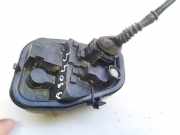 Lampenträger Heckleuchte - Hinten Audi Allroad, C6 2006.05 - 2011.08 89036915, 89037058