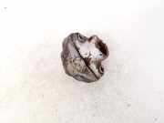 Lenksäule unten Kreuzgelenk Mercedes-Benz 123, I 1976.01 - 1985.12 Gebraucht,