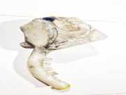 Scheibenwaschbehälter Vorne Wischwasserbehälter Mazda 2, DY 2003.02 - 2007.10 2s6117618ad, 2n1117618ad