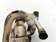 Abgaskühler AGR-Kühler Fiat Punto, 2005.10 - 2012.03 55197846,