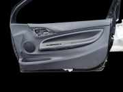 Türverkleidung - Vorne Rechts Citroen DS3, I 2009.01 - 2016.06 Gebraucht,