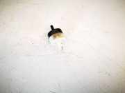 Unterdrucksteuerventil Volkswagen Golf, IV 1997.08 - 2003.10 046905291a, AHF