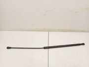 Gasfeder für Motorhaube Audi A4, B5 1999.09 - 2001.08 facelift 8d0823359a,