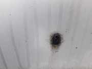 Waschwasserdüse Scheibenreinigung Mazda 323F, 1998.09 - 2004.05 Gebraucht ,