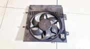Kühlerlüfter Lüftermotor Peugeot 207, 2006.02 - 2009.06 Gebraucht,