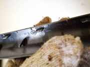 Schutzleiste Tür - Vorne Rechts Opel Zafira, B 2005.07 - 2008.01 13121853,