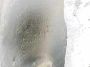 Radhausschale - Vorne Linke Opel Insignia A, 2008.01 - 2013.01 13241160,224461698