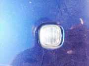 Blinkleuchte Kotflügel - Vorne Linke Skoda Roomster, I 2006.01 - 2010.05 Gebraucht,