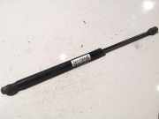 Gasdruckfeder Kofferraum Renault Megane, II 2002.11 - 2006.06 Gebraucht,