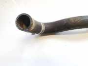 Kühlerschlauch Peugeot 406, 1995.11 - 1999.03 Gebraucht,