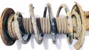Fahrwerksfeder vorne Ford Mondeo, 2007.03 - 2013.06 Gebraucht,