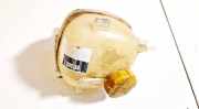 Ausgleichsbehälter Fiat Croma 2005 - 2011 9202200,099172