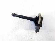 Zündspule Nissan Qashqai, I 2006.01 - 2010.06 0221604014,0221604014