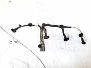 Kabelbaum Peugeot 4007 2007 - 2012 9653811880, 9653811880