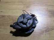 Unterdruckpumpe Vacuumpumpe Bremsanlage Opel Omega, B 1994.03 - 1999.09 72162503,na