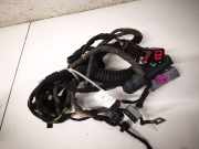 Kabelbaum Opel Insignia A, 2008.01 - 2013.01 Gebraucht,