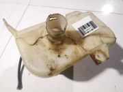 Scheibenwaschbehälter Vorne Wischwasserbehälter Nissan Primera, P12 2002.01 - 2008.12 Gebraucht,