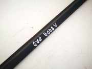 Zierleiste Leiste - Vorne Rechts Mitsubishi Carisma, II 2000.09 - 2006.06 Gebraucht,